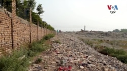 د پنجاب راولپنډۍ ښار کې د پوليو وایرس ماحولياتي نمونه مثبته تصديق شوي ده
