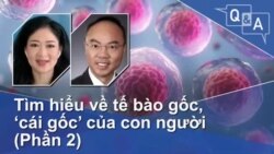 Tìm hiểu về tế bào gốc, ‘cái gốc’ của con người (Phần 2)