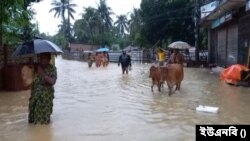 বাংলাদেশের আট জেলায় মোট ৪ লাখ ৪০ হাজার ৮৪০টি পরিবার পানিবন্দী হয়ে পড়েছে, ক্ষতিগ্রস্ত লোকসংখ্যা ২৯ লাখ ৪ হাজার ৯৬৪ জন।