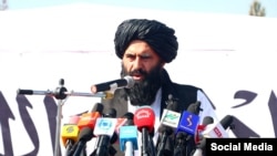 داوود مزمل، والی طالبان برای بلخ