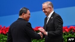 Perdana Menteri China Li Qiang (kiri) dan Perdana Menteri Australia Anthony Albanese berjabat tangan saat upacara pembukaan Pameran Impor Internasional China (CIIE) ke-6 di Shanghai pada 5 November 2023. (Foto: AFP)