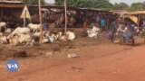 Banga Ko Gueleya Seliba Gniekoro Bobo Dioulasso- Burkina