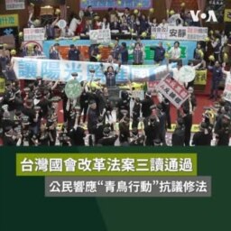 台灣國會改革法案三讀通過 公民響應“青鳥行動”抗議修法