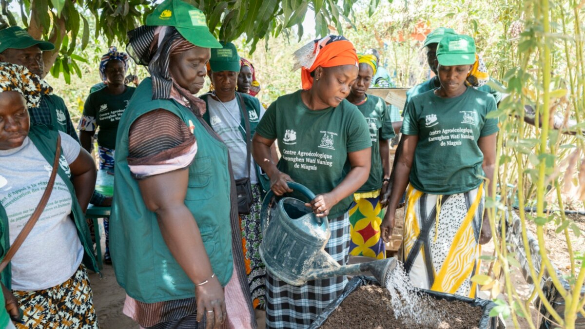 West African Project Helps Women Farmers Claim Their Rights, Land - Vimarsana News