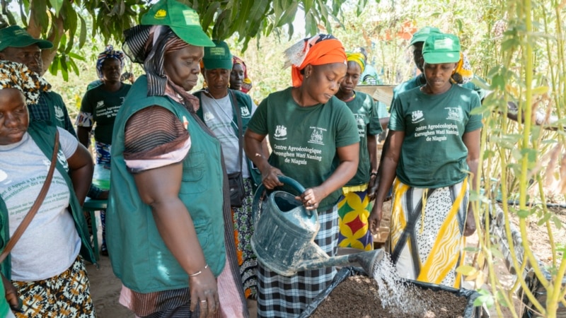 West African Project Helps Women Farmers Claim Their Rights, Land 