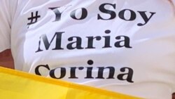 La Bienal de Venecia y la política en Venezuela: MCM