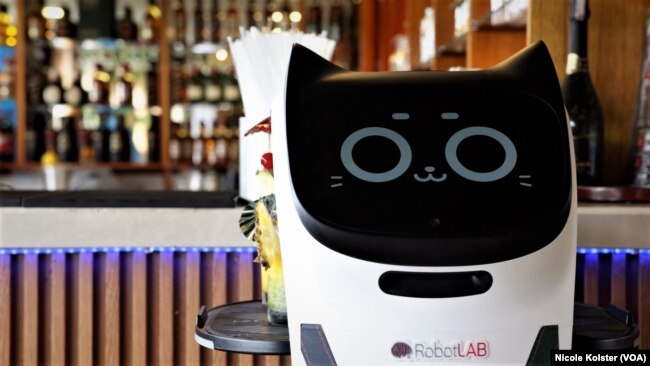 Bella Fátima, un robot con rostro de gato, reparte bebida en un restaurante de Los Teques, en Venezuela