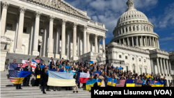 Українські активісти взяли участь в представленні проекту резолюції.