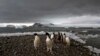 Australia Sends Icebreaker to Rescue Stricken Antarctic Researcher 