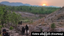 ဒေါနတောင်တန်းမှာ တွေ့ရတဲ့ Cobra စစ်ကြောင်း (Photo-Cobra စစ်ကြောင်း)