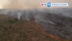 Chuvas e incêndios provocam desastres no planeta