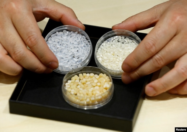 Takemitsu Imazu, President of Biomass Resin Fukushima, shows rice to Reutersin Namie, Fukushima Prefecture, Japan February 28, 2023. (REUTERS/Kim Kyung-Hoon)