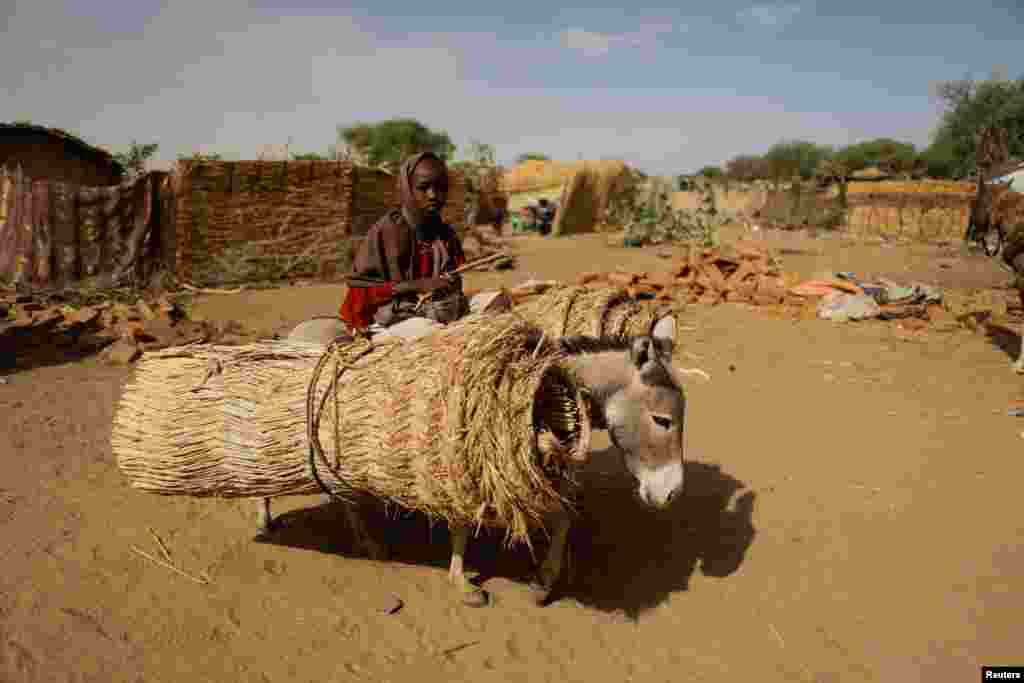 Afaf, 10, a Sudanese refugee, who fled with her family the violence in their country, rides a donkey loaded with straw, near the border between Sudan and Chad in Koufroun, Chad.