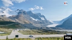 El Glaciar Athabasca fue descubierto en el año 1896 y tiene una extensión de 6 kilómetros cuadrados. [Foto: Karen Sánchez, VOA]