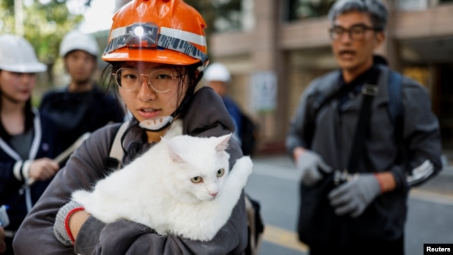 台湾花莲一名16岁的姑娘在撤离时抱着自己的宠物猫。（2024年4月4日）