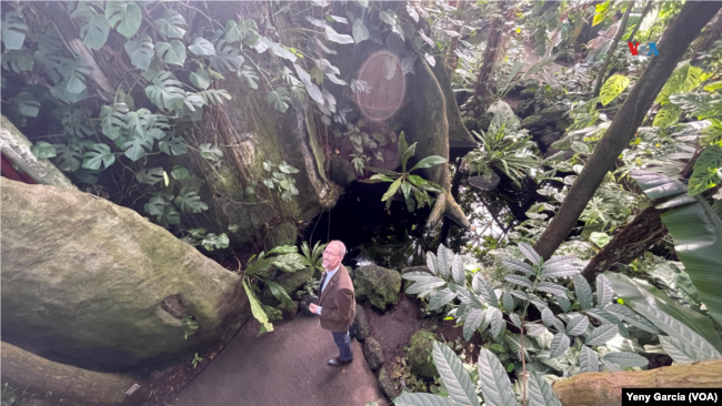 El Jardín Botánico de Nueva York tiene el mayor herbario del hemisferio occidental y gran parte de sus especímenes provienen de Latinoamérica, explica el colombiano Mauricio Diazgranados, el primer director científico hispano en los más de cien años de la institución.
