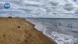 Atlantika to'lqinlari: Chespik bo'g'ozi 