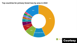 The top countries for primary forest loss 2002-2022, in hectares. Brazil is responsible for 43% of the losses worldwide in that time.
