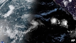 This satellite image provided by the National Oceanic and Atmospheric Administration (NOAA) shows Tropical Storm Hone and Hurricane Gilma located southeast of Hawaii, Aug. 22, 2024. (NOAA via AP)