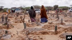 Sawir hore oo muujinaya qabuuro