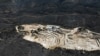 A drone view shows a charred forest area around a marble quarry following a wildfire, in Dionysos, near Athens, Greece.