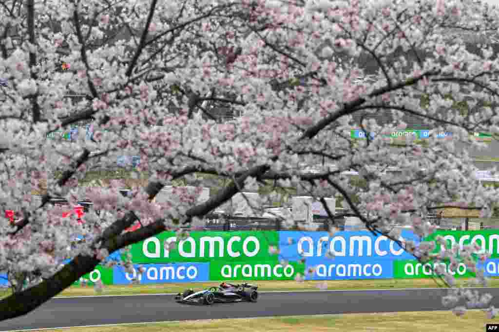 Mercedes&#39; British driver Lewis Hamilton drives while seen past cherry blossom trees during the second practice session ahead of the Formula One Japanese Grand Prix race at the Suzuka circuit in Suzuka, Mie prefecture. (Photo by Yuichi YAMAZAKI / AFP)