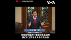 鲁比奥：资本主义没有改变中国，而是中国改变了资本主义