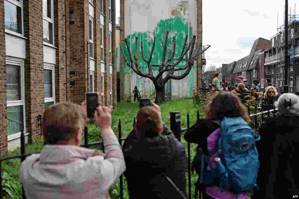 Warga berkumpul untuk melihat karya seni Banksy, sebuah stensil seseorang yang sedang menyemprotkan dedaunan pohon ke dinding di belakang pohon tak berdaun, dekat Taman Finsbury, di London utara, Inggris. (AFP)&nbsp;