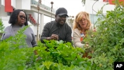 FILE - Bella McGowan, right, works at a community garden with local residents Rico De Rixey, center, and his wife, Geraldine Brand, April 13, 2023, in Los Angeles. 