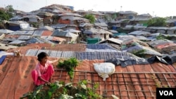 A Rohingya girl collects leaves from a vegetable plant in the Balukhali refugee camp in Cox’s Bazar, Bangladesh, on Aug 28, 2023. Over 1.2 million Rohingya refugees live in Bangladesh since fleeing violence and persecution in Myanmar. (Noor Hossain for VOA)