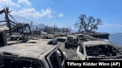 In this photo provided by Tiffany Kidder Winn, burned-out cars sit after a wildfire raged through Lahaina, Hawaii, on Aug. 9, 2023. 