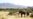 Namibia game reserve relocates 7 elephants to Angola