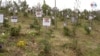 Las cenizas de miles de víctimas de COVID-19 en Colombia ahora reposan sobre la Reserva Natural El Pajonal.