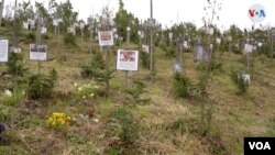 Las cenizas de miles de víctimas de COVID-19 en Colombia ahora reposan sobre la Reserva Natural El Pajonal.