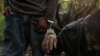 Seorang pria asal Guatemala dengan tangan terborgol duduk karena kelelahan setelah ditahan bersama migran lainnya yang bersembunyi usai masuk wilayah AS dari Meksiko, di Havana, Texas, Rabu, 11 Juni 2024. (Foto: Adrees Latif/Reuters)