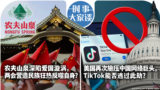 时事大家谈：农夫山泉深陷爱国漩涡，两会营造民族狂热反噬自身？美国再次施压中国网络巨头，TikTok能否逃过此劫？