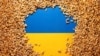 ازسرگیری ترانزیت غلات اوکراین؛ پنج کشور اتحادیه اروپا توافق کردند