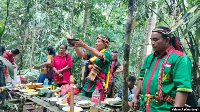 ILUSTRASI - Upacara Adat di lokasi situs budaya di hutan yg dilindungi oleh Masyarakat Adat Dayak Hibun di Tembawang Hibun, Sanggau, Kalimantan Barat, 28 Juni 2024.(Foto: Courtesy/Valens A)
