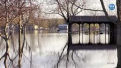 ABD’de Mississippi Nehri Taştı