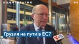 «Грузинское правительство ведет себя в стиле Кремля» 