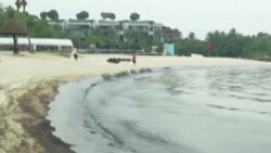 Pantai di Singapura Menghitam, Kena Tumpahan Minyak