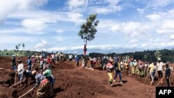 Wanavijiji wakichimba kutafuta mabaki ya wahanga wa mauaji ya kimbari ya Rwanda, tarehe 5, 2023. Picha na Clement DI ROMA / AFP. 