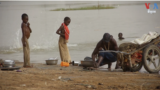 Niger Drought Fish - Thumbnail