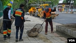 Workers capture stray dogs in Srinagar, Jammu and Kashmir, India. (Wasim Nabi/VOA)