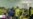 16x9 Image