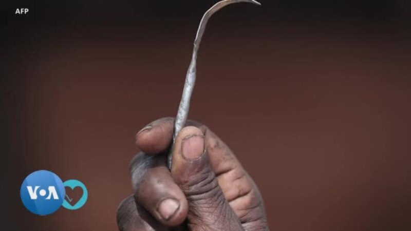 Carnet de Santé: les mutilations génitales féminines