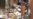 16x9 Image