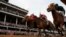 Brian Hernandez Jr. and Mystik Dan, right, get to the finish line first to win the 150th running of the Kentucky Derby horse race at Churchill Downs in Louisville, Kentucky, May 4, 2024.