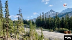 La Icefields Parkway o Carretera de los Campos de hielo une las localidades de Lake Louise y Jasper. [Foto: Karen Sánchez, VOA]