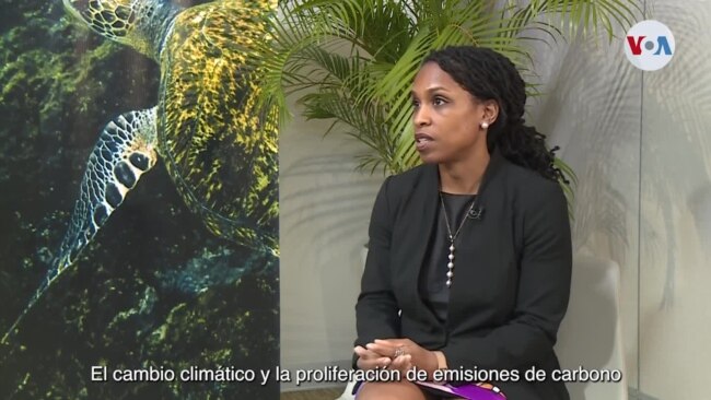 Maxine Burkett: "La proliferación de emisiones de carbono han sido realmente devastadores para los océanos"